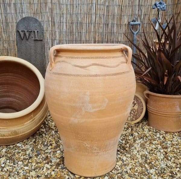 Large Fatsia Cretan Terracotta Pot