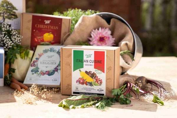 Italian Cuisine Seed Box