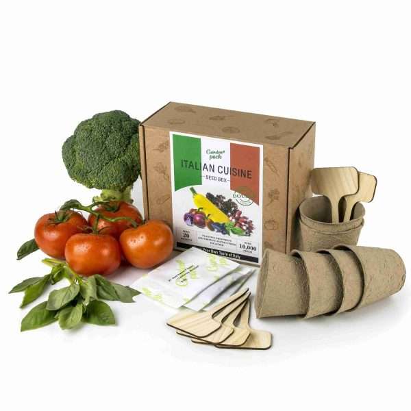 Italian Cuisine Seed Box - Image 4