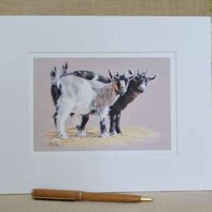 Two pygmy goat kids art print in a 10 by 8 inch pale mount