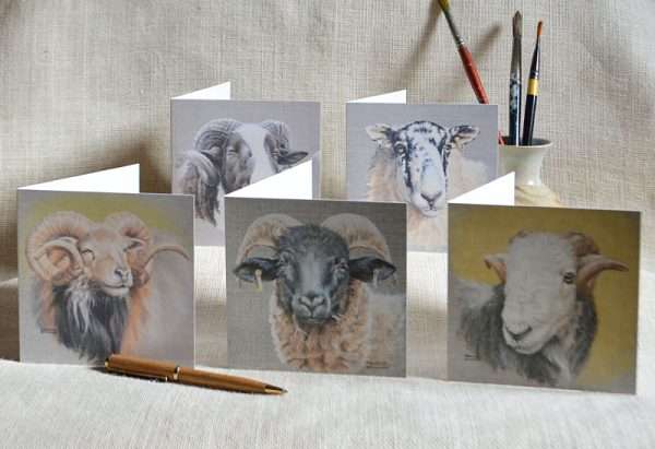 Sheep art cards. Pack of five head studies. One of each Jacob's, North England Mule, North Ronaldsay, Norfolk Horn and Herdwick. Square.