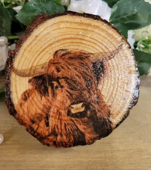 Decoupage Wood Slice Highland Cow Coasters - Image 2