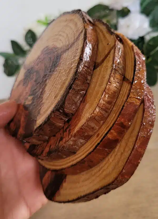 Four round wood slices with Highland cow detail. Showing varnished bark on the edges