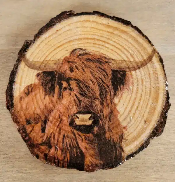 Decoupage Wood Slice Highland Cow Coasters - Image 8