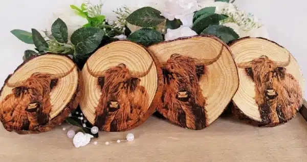 Decoupage Wood Slice Highland Cow Coasters - Image 10