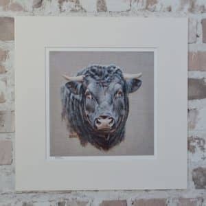 Realistic art head study of a black bull with horns on a grey background in a pale mount.