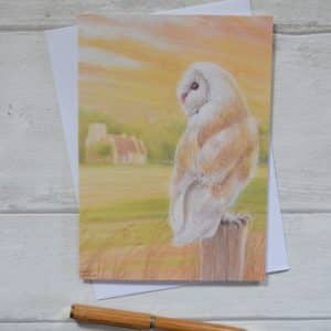 Barn owl in mellow evening light on a post overlooking partially harvested sugar beet crop and flint faced church. Blank, rectangular greetings card with white envelope.