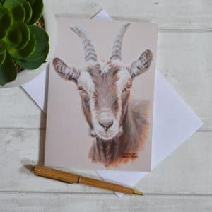 Head study of brown goat with white stripes down face and small horns. Art greetings card with envelope. Oblong.