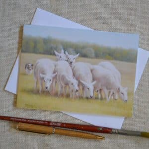 Card from pastel art. Small group of sheep being brought in slowly by working sheepdog, a black and white collie. Oblong card with envelope, blank inside.