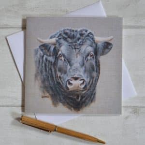 Realistic head study painting of a black bull with small horns on a grey background. Square, blank greetings card with envelope.