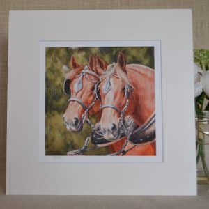 Art print. Pair of chestnut Suffolk Punch horses in working harness. Green foliage in background. Shown in a pale mount with white border around image.