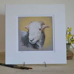 Art print of a Herdwick sheep. Head study in a square pale mount.