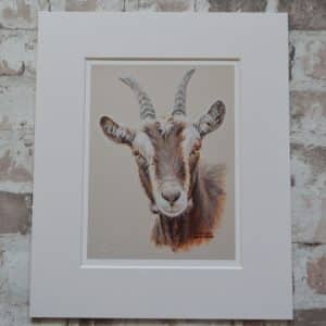 Goat art print. Brown and white striped head with small horns. In a pale mount.