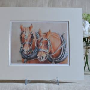 Two Suffolk Punch horses in harness. One is having a crafty doze. In a pale 12x10 inch mount. From my original pastel drawing.