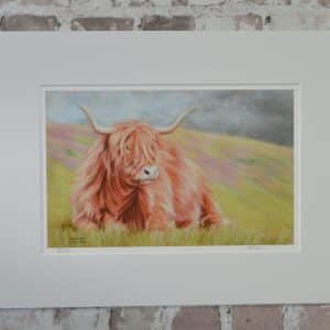 Highland cow art print. Lying down in the sun before rain arrives. From original pastel art. In a pale mount.